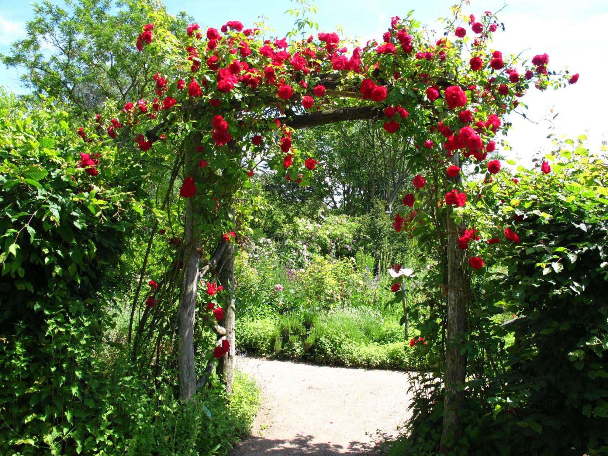 Gaestehaus Am Wangeliner Garten Luaran gambar